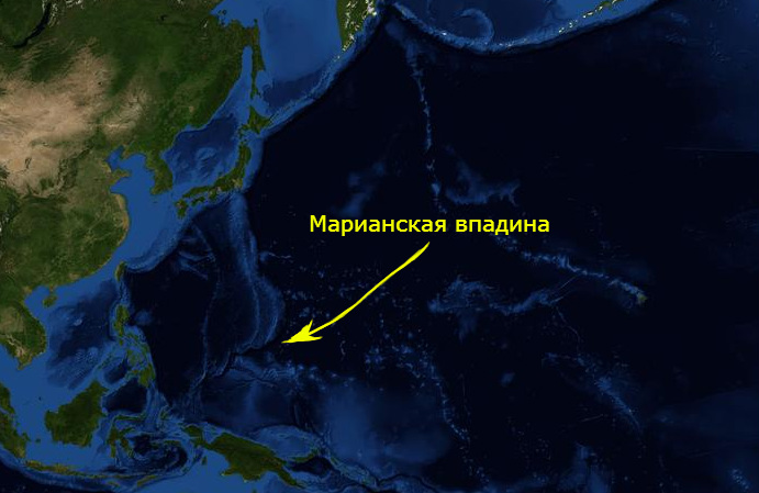 У 10 кілометрів під дном Маріанської западини існує життя