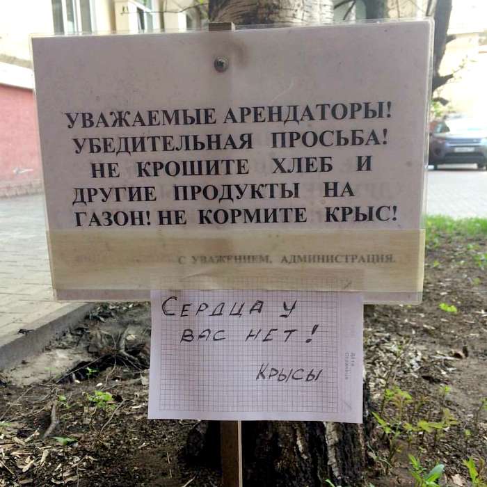 18 курьезных вывесок и объявлений, которые заставят смеяться до слез