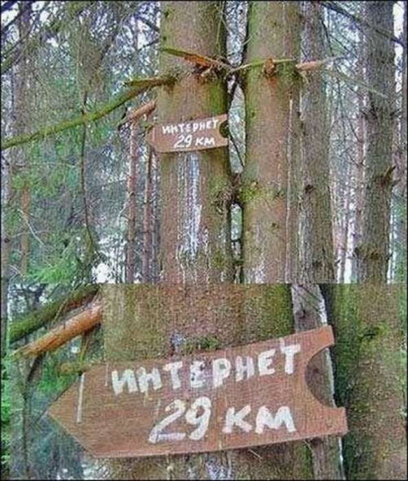 18 курьезных вывесок и объявлений, которые заставят смеяться до слез