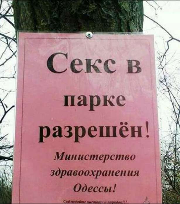 18 курьезных вывесок и объявлений, которые заставят смеяться до слез