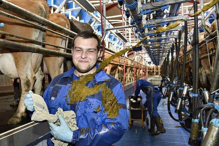 30 кадров, которые заставили меня биться в истерике!